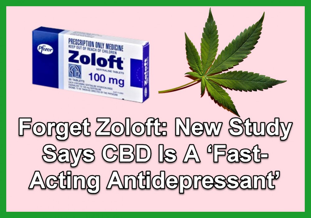 CBD AS AN ANTIDEPRESSANT 