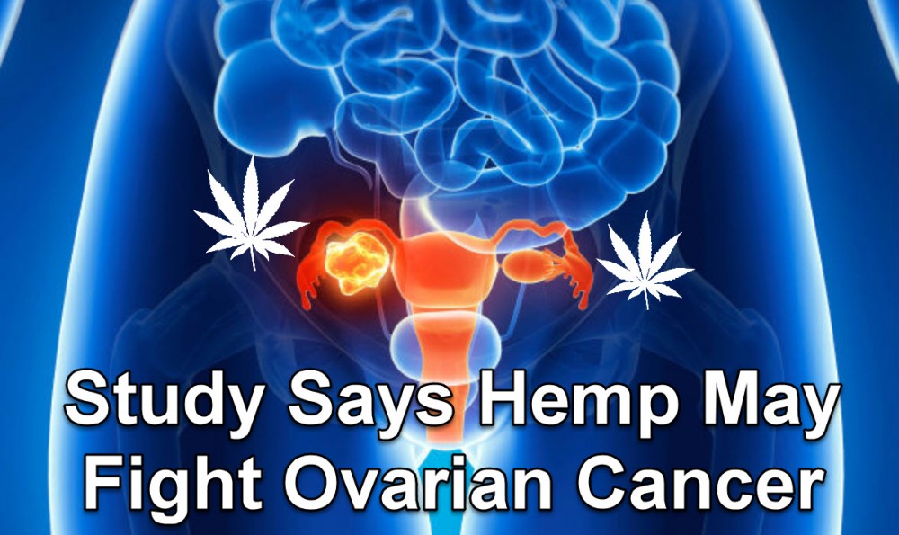 HEMP HELPING WITH OVARIAN CANCER