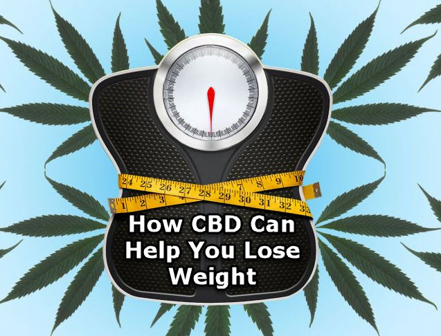 CBD TO LOSE WEIGHT 