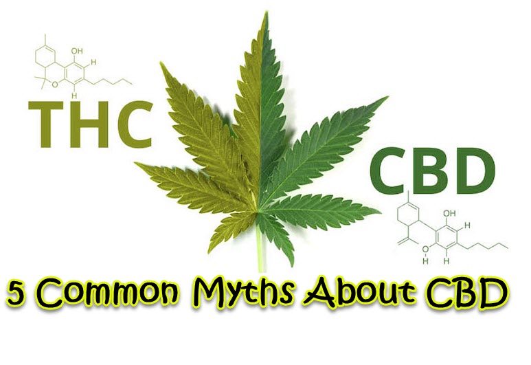 cbd myths