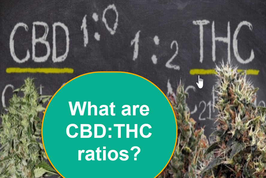 WHAT ARE CBD THC RATIOS