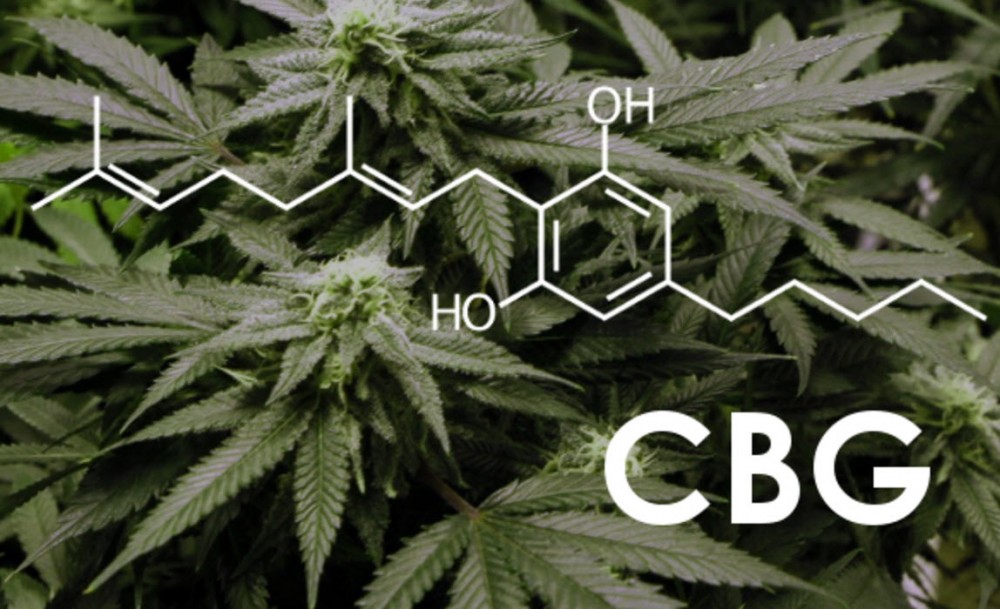 WHAT IS CBG CANNABINOID