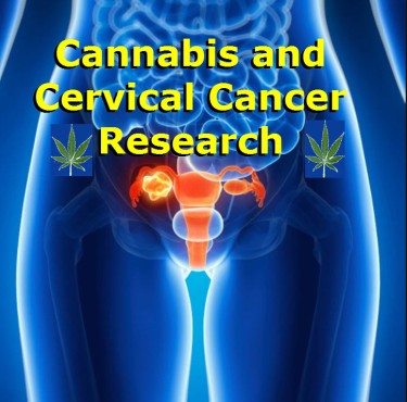 RESEARCH ON CANNABIS AND CERVICAL CANCER