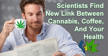 LINK BETWEEN COFFEE AND CANNABIS