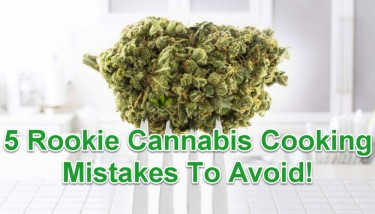 MISTAKES WITH COOKING FOR CANNABIS