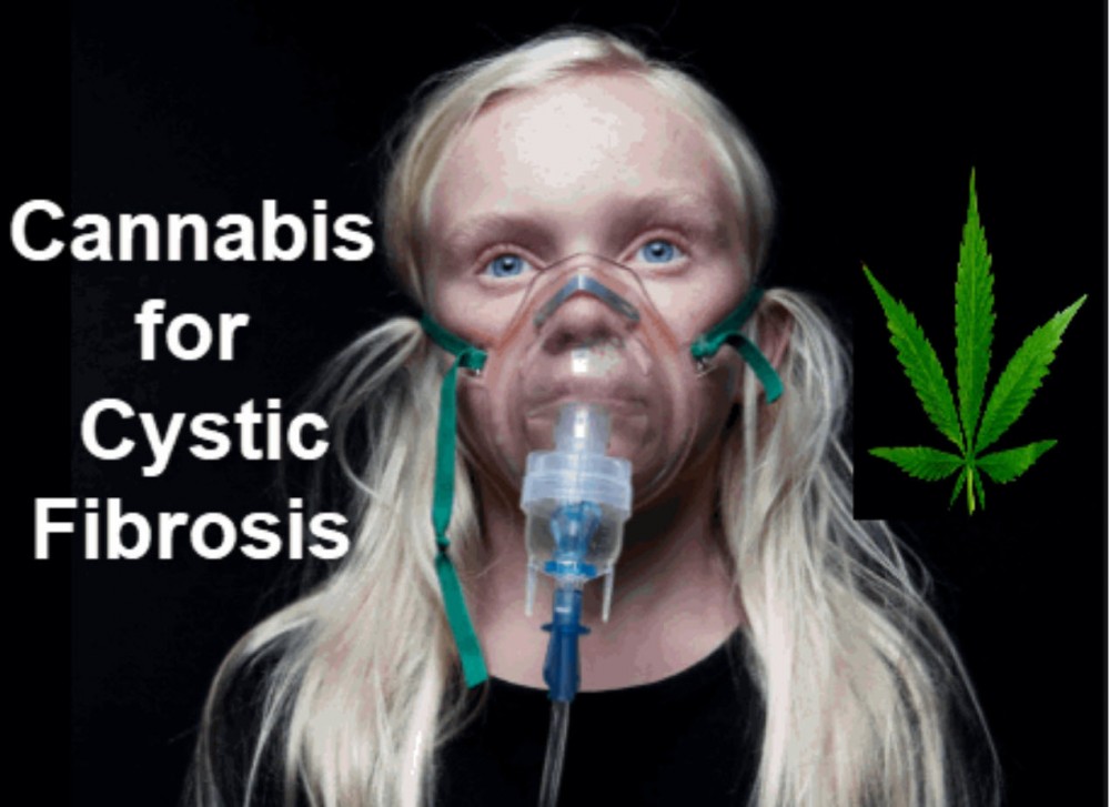 CANNABIS FOR CYSTIC FIBROSIS