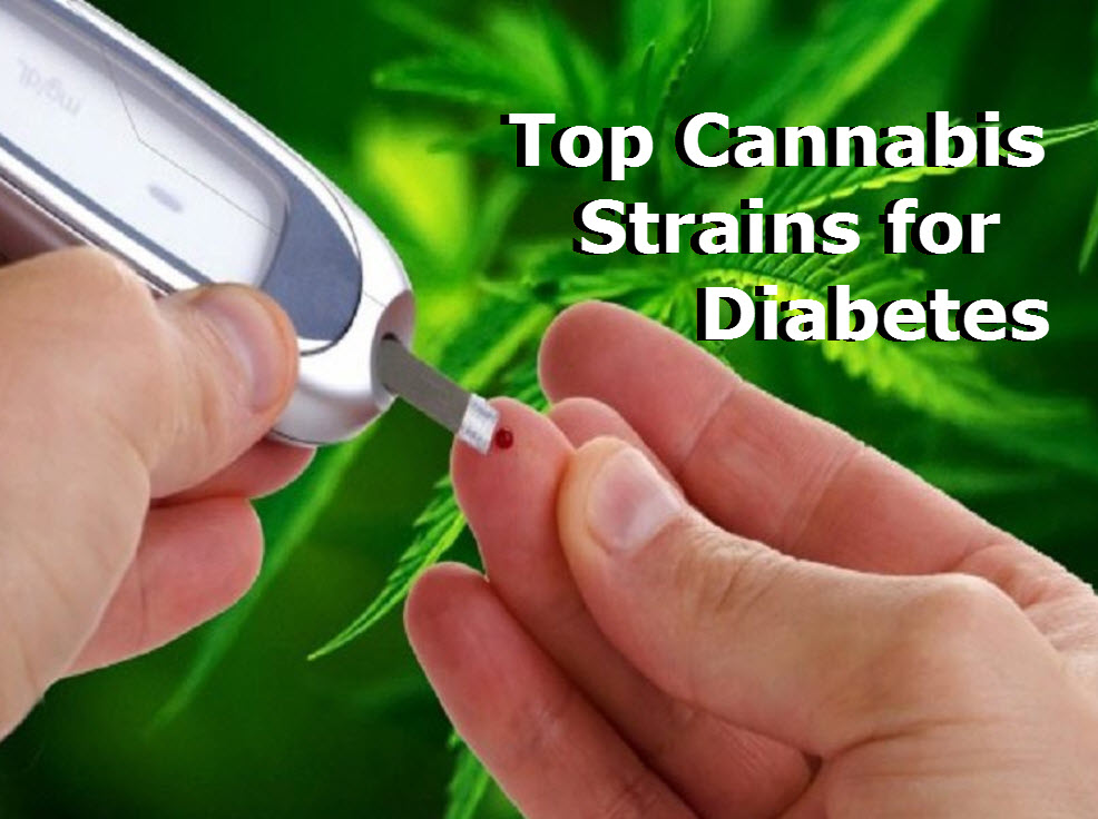 cannabis strains for diabetes