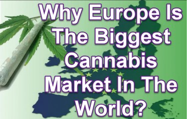 SIZE OF THE EUROPEAN CANNABIS MARKET