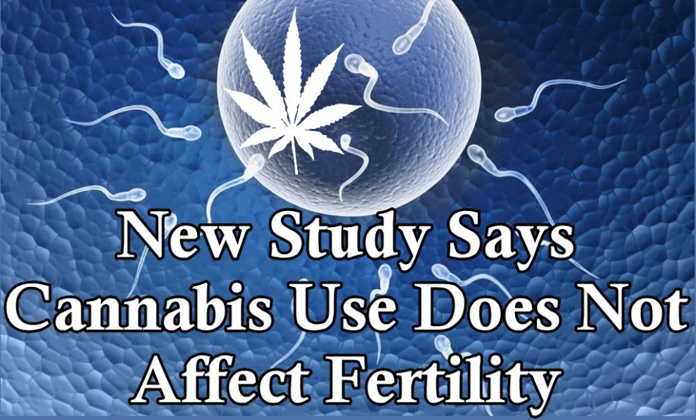 WEED AND SPERM LEVEL STUDIES