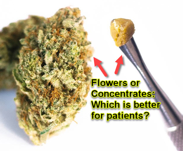 SHOULD YOU USE CANNABIS FLOWER OR CONCENTRATES