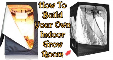 HOW TO SET UP A GROW ROOM