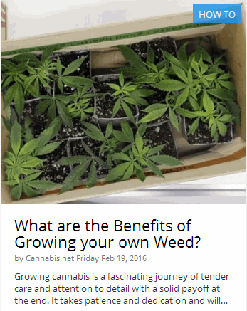 BENEFITS OF GROWING MARIJUANA