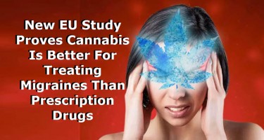 MEDICAL STUDIES ON MARIJUANA AND MIGRAINE HEADACHES