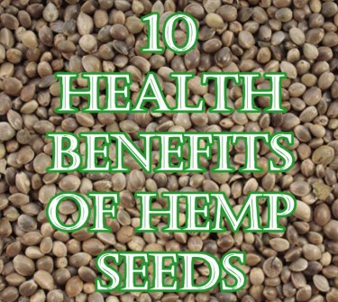 CBD Seeds - Forget Sunflower Seeds, Should You Be Munching CBD Seeds, Instead?