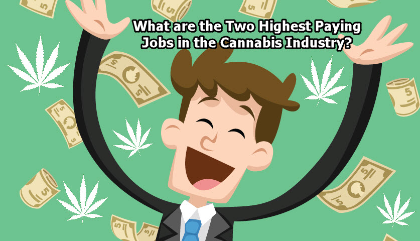 HIGH PAYING CANNABIS JOBS