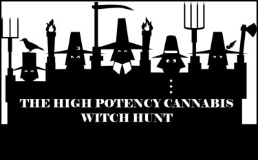 HIGH POTENCY THC WITCH HUNT