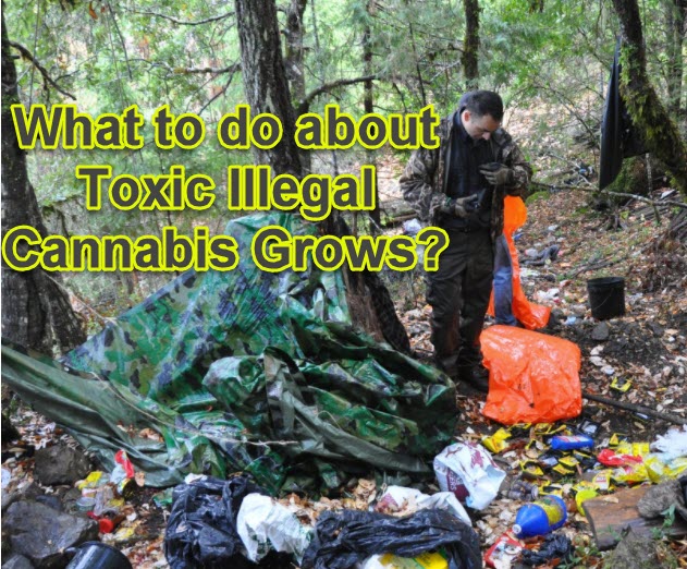 WHAT TO DO ABOUT ILLEGAL CANNABIS GROWS