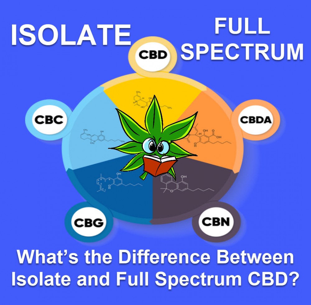 WHAT IS ISOLATE AND FULL SPECTRUM CBD