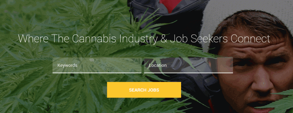 cannabis job search