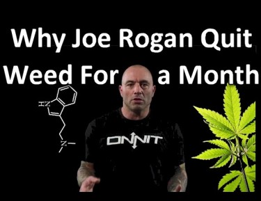 JOE ROGAN QUIT WEED FOR A MONTH