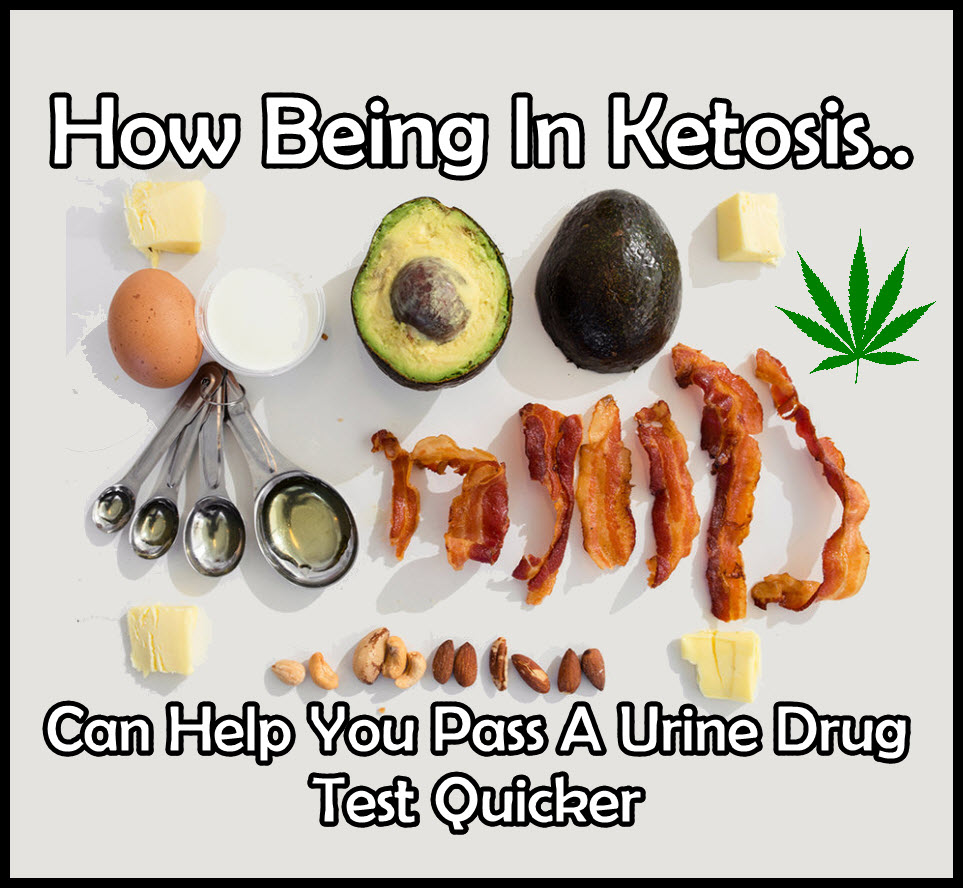 KETOGENESIS AND DRUG TESTS CANNABIS CBD
