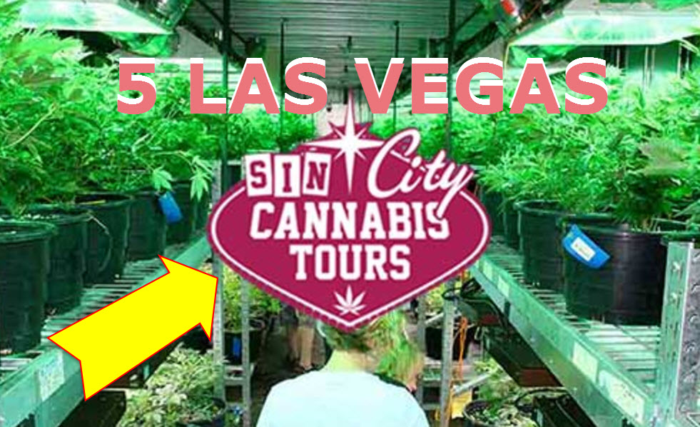 LAS VEGAS TOURS CANNABIS