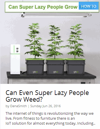 LAZY PEOPLE GROW WEED