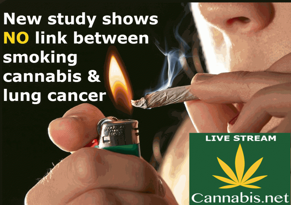 CANNABIS LUNG CANCER