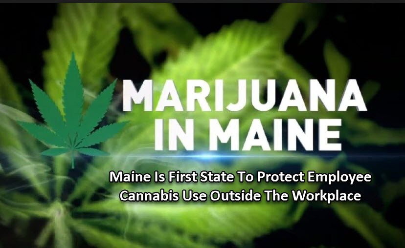 MAINE WORKERS RIGHT TO USE MARIJUANA