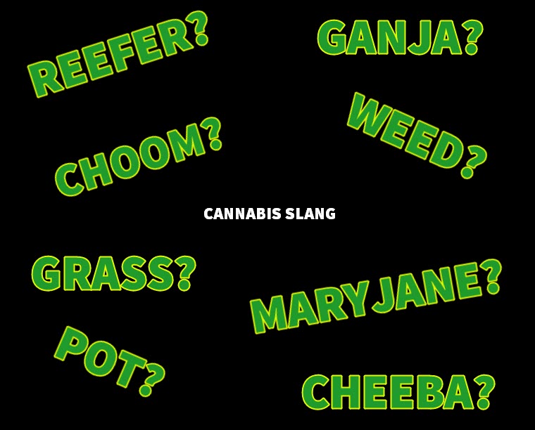 CANNABIS SLANG WORDS