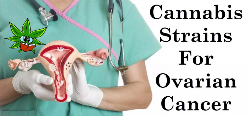 CANNABIS STRAINS FOR OVARIAN CANCER