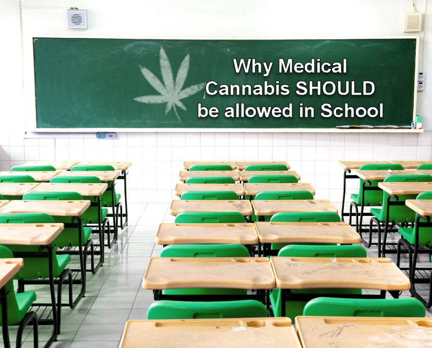 MEDICAL MARIJUANA IN SCHOOL