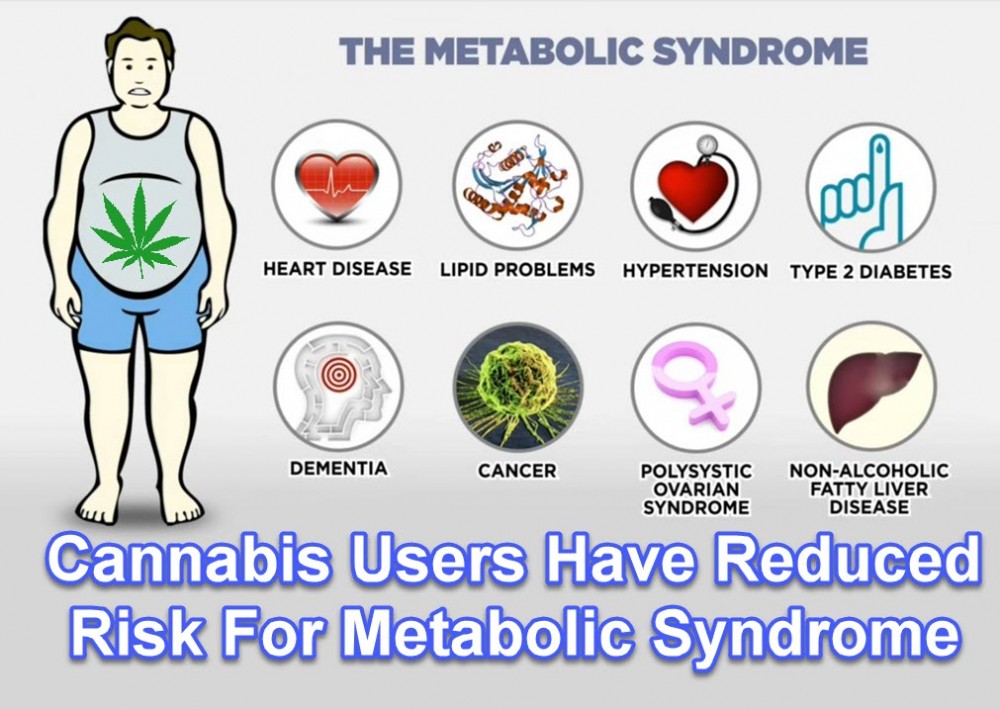 METABOLIC SYNDROME CANNABIS