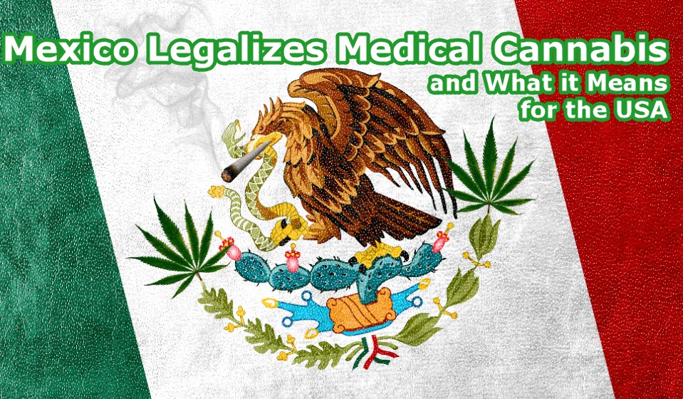 MEXICO LEGALIZES CANNABIS