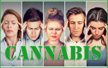 CANNABIS FOR MIGRAINE