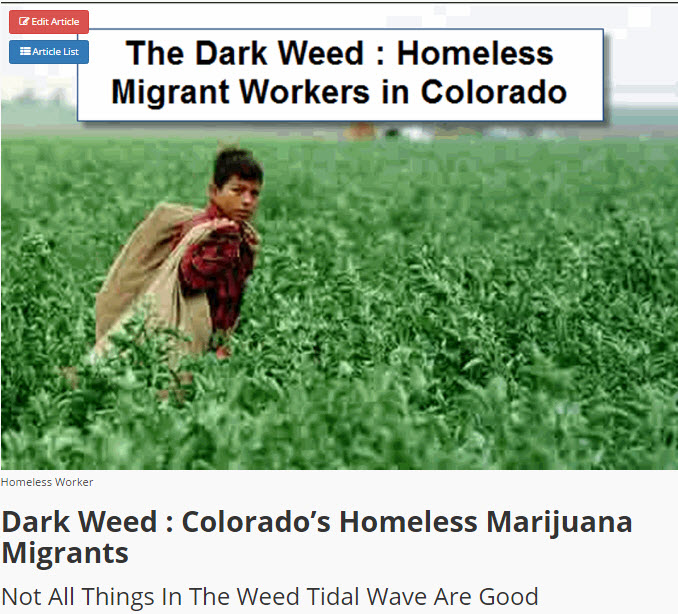 MIGRANT CANNABIS WORKERS