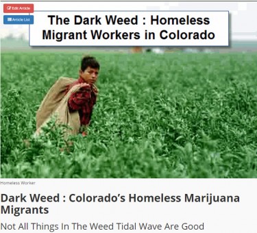 MIGRANT WORKERS IN WEED
