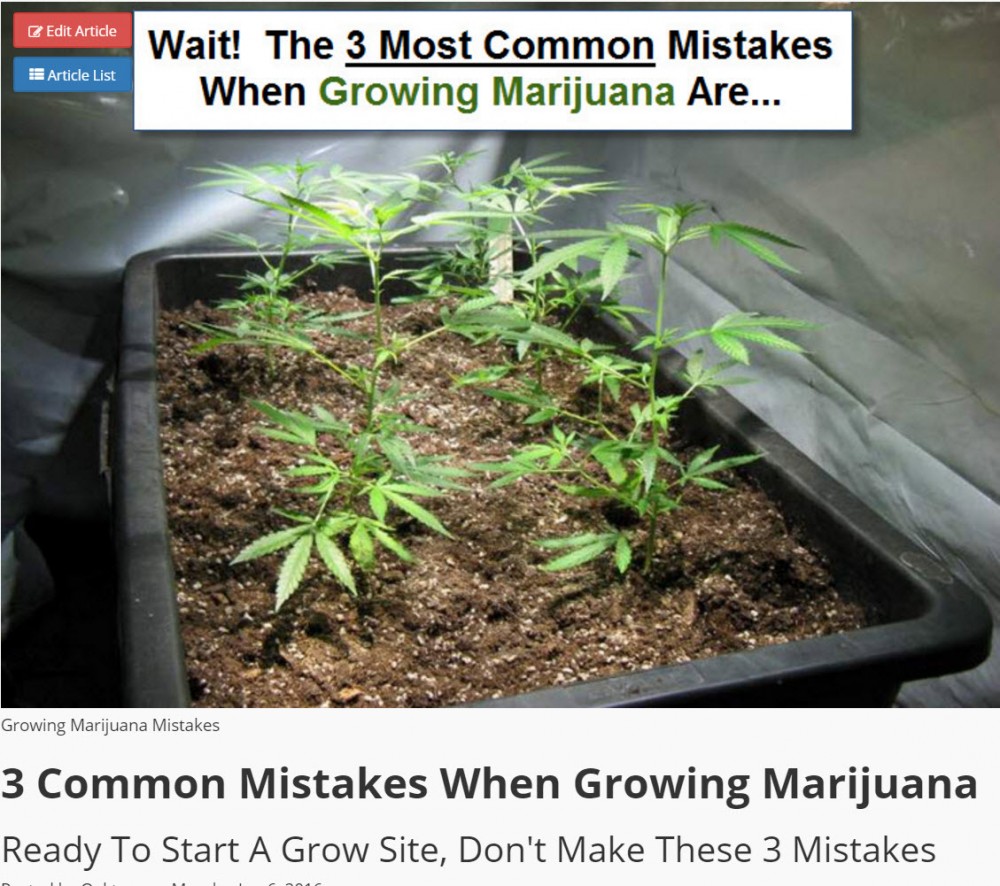 COMMON MISTAKES GROWING CANNABIS