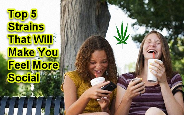 STRAINS TO FEEL MORE SOCIAL