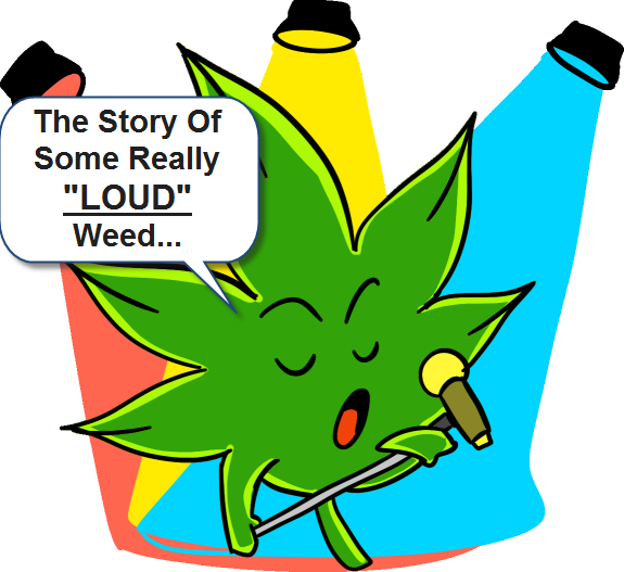 LOUD WEED