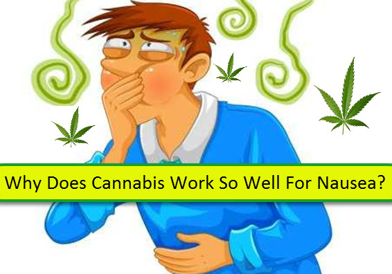 CANNABIS FOR NAUSEA