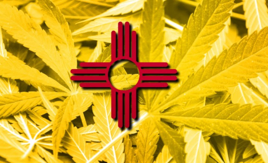 New Mexico Cannabis License Corruption The Feds May Look Into The New   NEWMEXICOWEED 