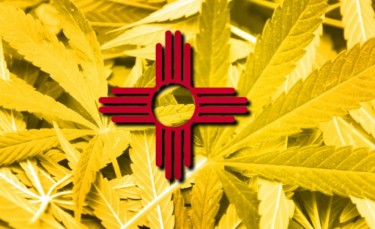 NEW MEXICO WEED