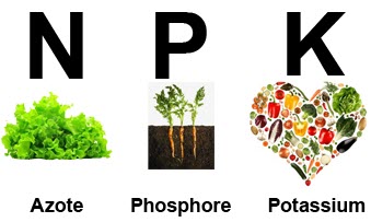 NPK CANNABIS LEVELS