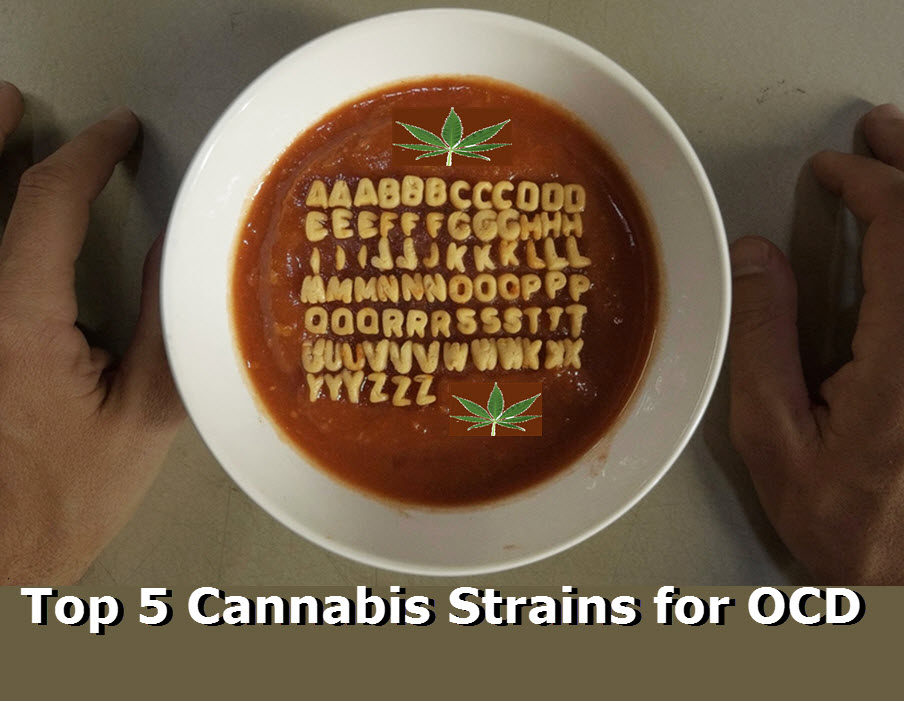 cannabis strains for ocd