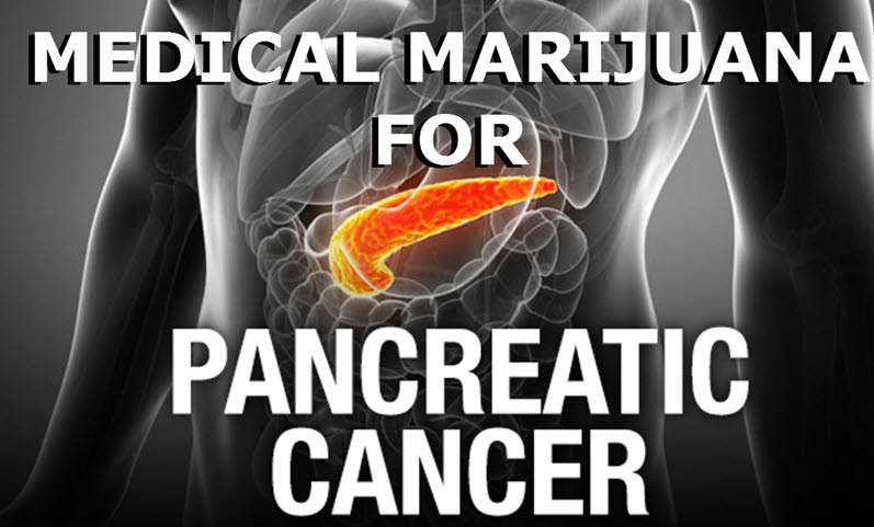 PANCREATIC CANCER AND MARIJUANA