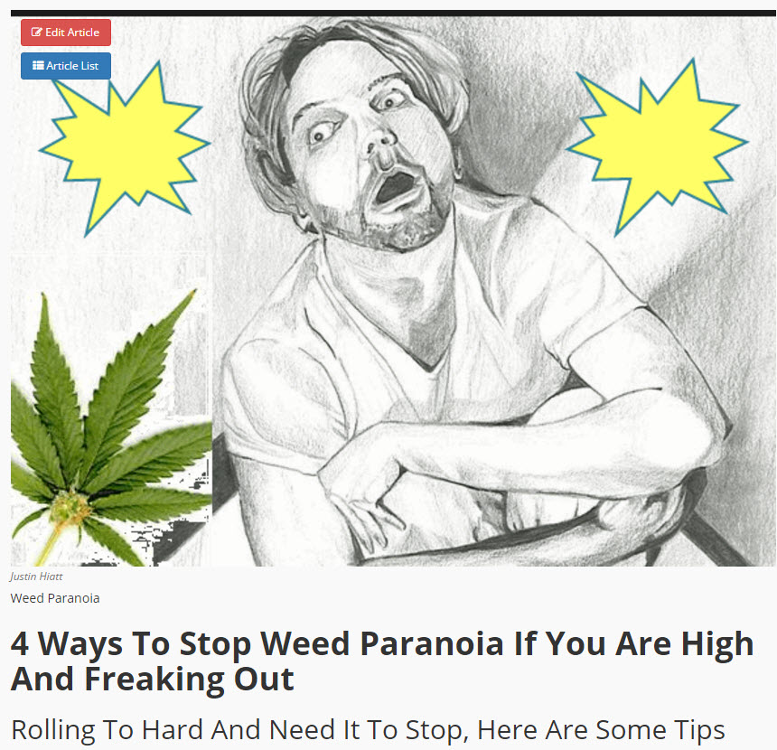 PARANOIA FROM WEED AND HOW TO STOP IT