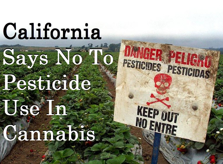 CALIFORNIA SAYS NO TO PESTICIDES