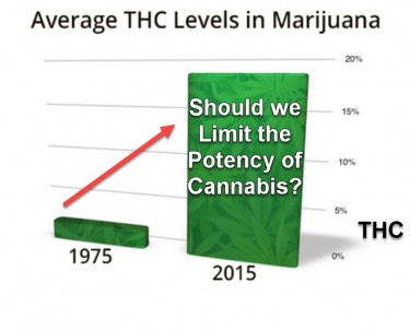 POTENCY OF CANNABIS LIMITS