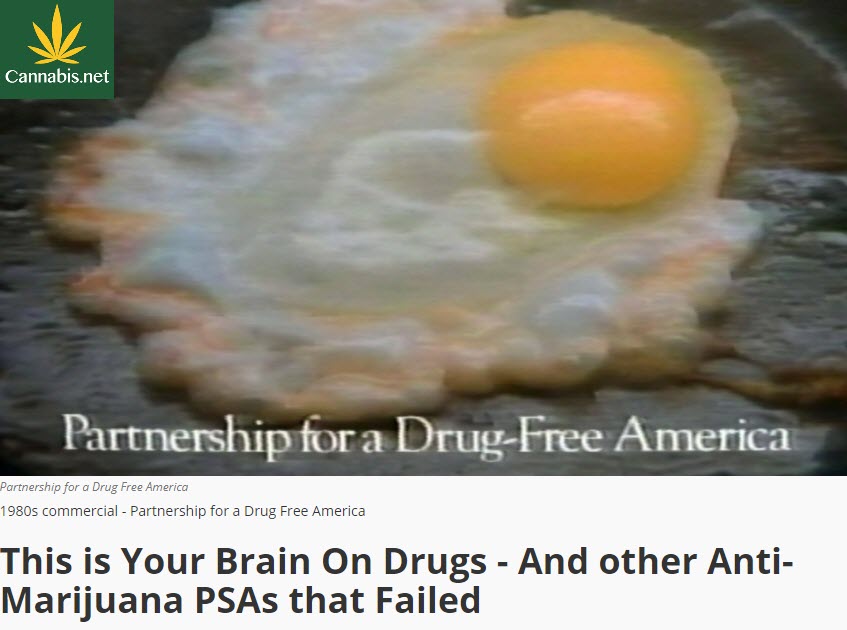 YOUR BRAIN ON DRUGS